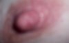 Nipple1.jpg