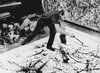 JacksonPollock.jpg