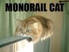 MonorailCat_1.jpg