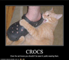 lolcats-71-4.png