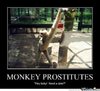 MONKEY-PROSTITUTES_o_94660.jpg