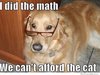 dog-meme-20.jpg