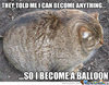 balloon-cat_o_913596.jpg