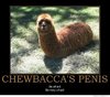 chewbaccas-penis.jpg