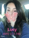 Lucy1.jpg