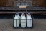 fresh-milk-delivery-to-doorstep-white-farm-produce-local-cows-diet-lifestyle-pint-english-heal...jpg