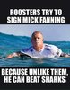 Mick Fanning1.jpg