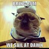 drunken-sailor-cat.jpg