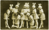 bunnies-650x410.png