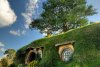 Hobbiton-New-Zealand.jpg