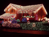 christmas-lights2.jpg