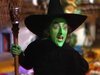 Wicked Witch of the West | Heroes and villians Wiki | Fandom