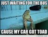 Just-Waiting-for-THe-Bus-Cause-My-Car-Got-Toad.jpg